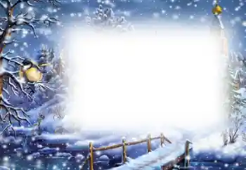 Foto-effetti della categoria Inverno № 129893