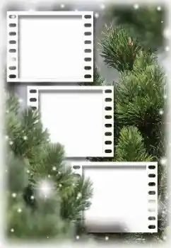 Foto-effetti della categoria Inverno № 129913