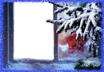 Foto-effetti della categoria Inverno № 130573