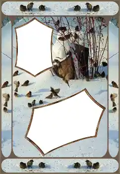 Foto-effetti della categoria Inverno № 151645 Foto-effetti della categoria Inverno № 151645