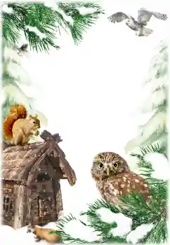Foto-effetti della categoria Inverno № 160784