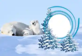Foto-effetti della categoria Inverno № 163218