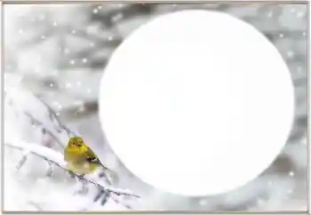 Foto-effetti della categoria Inverno № 163334