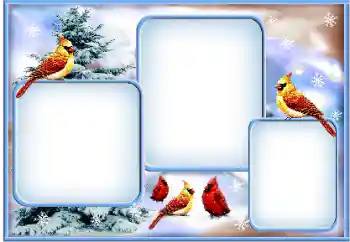 Foto-effetti della categoria Inverno № 163360