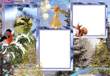 Foto-effetti della categoria Inverno № 174244