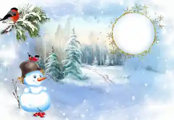 Foto-effetti della categoria Inverno № 176771
