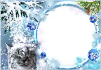 Foto-effetti della categoria Inverno № 178026
