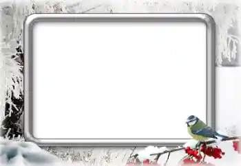 Foto-effetti della categoria Inverno № 179644