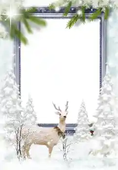 Foto-effetti della categoria Inverno № 182164