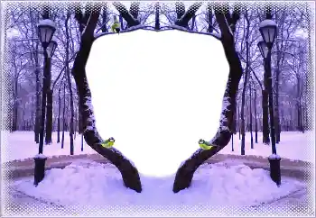 Foto-effetti della categoria Inverno № 183367