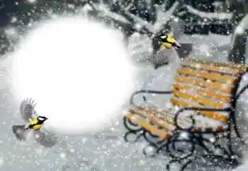 Foto-effetti della categoria Inverno № 191760