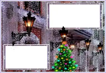 Foto-effetti della categoria Inverno № 193017