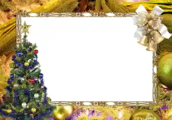 Foto-effetti della categoria Inverno № 2321