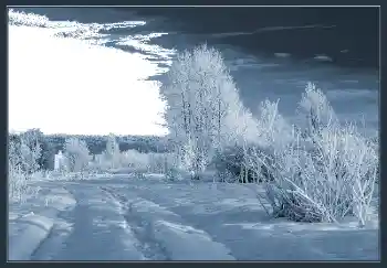 Foto-effetti della categoria Inverno № 2504