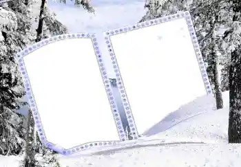 Foto-effetti della categoria Inverno № 3358
