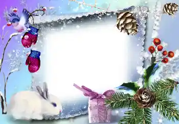 Foto-effetti della categoria Inverno № 3359