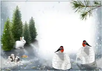 Foto-effetti della categoria Inverno № 3360