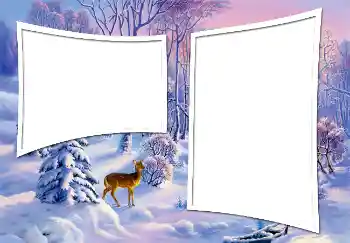 Foto-effetti della categoria Inverno № 3363