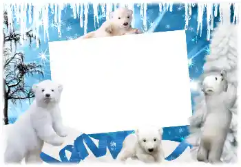 Foto-effetti della categoria Inverno № 3366