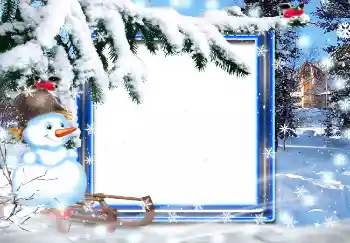 Foto-effetti della categoria Inverno № 3369
