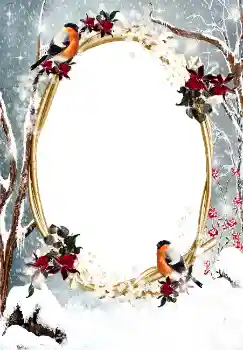 Foto-effetti della categoria Inverno № 3374