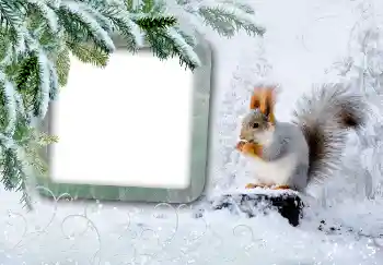 Foto-effetti della categoria Inverno № 3375
