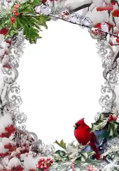 Foto-effetti della categoria Inverno № 3380