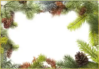 Foto-effetti della categoria Inverno № 3395