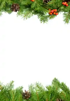 Foto-effetti della categoria Inverno № 34000