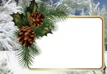 Foto-effetti della categoria Inverno № 34794