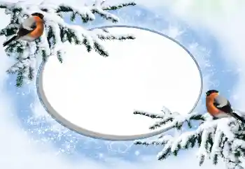 Foto-effetti della categoria Inverno № 42676