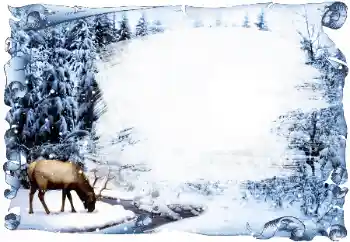 Foto-effetti della categoria Inverno № 42685