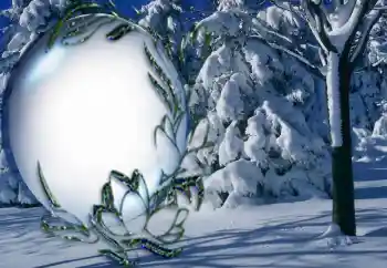 Foto-effetti della categoria Inverno № 5464 Foto-effetti della categoria Inverno № 5464