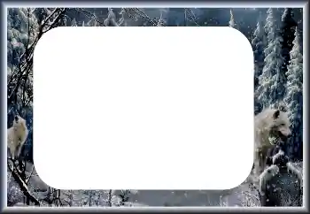 Foto-effetti della categoria Inverno № 60435