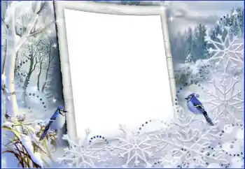 Foto-effetti della categoria Inverno № 60441