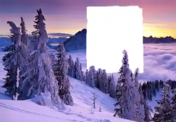 Foto-effetti della categoria Inverno № 62686