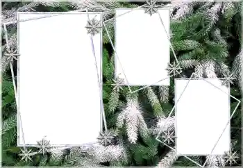 Foto-effetti della categoria Inverno № 64393
