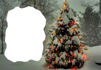 Foto-effetti della categoria Inverno № 65514