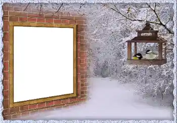 Foto-effetti della categoria Inverno № 65557