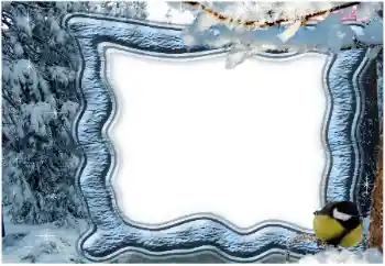 Foto-effetti della categoria Inverno № 65559