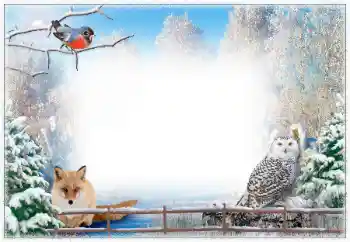 Foto-effetti della categoria Inverno № 67043
