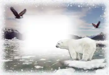 Foto-effetti della categoria Inverno № 67044