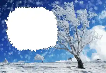 Foto-effetti della categoria Inverno № 68644