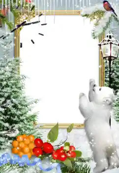 Foto-effetti della categoria Inverno № 81677