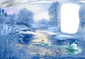 Foto-effetti della categoria Inverno № 85489
