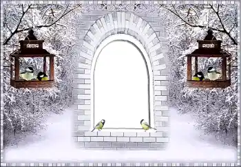 Foto-effetti della categoria Inverno № 87926