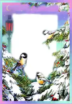 Foto-effetti della categoria Inverno № 89297