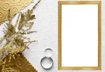 Foto-effetti della categoria Cornici nuziali № 205549