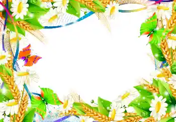 Foto-effetti della categoria Cornici da donna № 101135