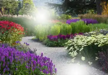 Foto-effetti della categoria Cornici da donna № 101176